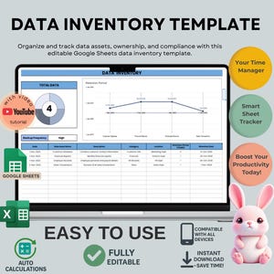 Data Inventory Template for Data Management, Editable Google Sheets, Digital Download