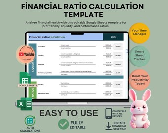Financial Ratio Calculation Template for Business Analysis, Editable Google Sheets, Digital Download