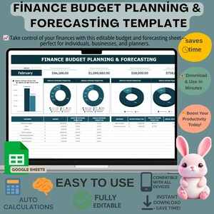 Sjabloon voor financiële budgetplanning: bewerkbare Google Spreadsheets (digitale download)