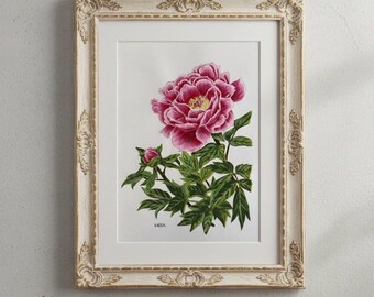 Original Pfingstrose Gouache Gemälde: Botanische Blumenkunst (20 x 25 cm, Ungerahmt)