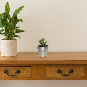 May include: A small succulent plant in a silver metal pot sits on a wooden surface. The plant has green, pointed leaves. A larger plant in a white textured pot is to the left. The wooden surface has two drawers with black, ornate handles.