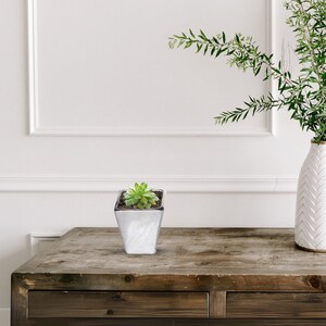 May include: A small succulent plant in a silver square planter on a wooden table with a white wall in the background.