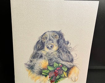 Long Hair Doxie Holiday Greeting Cards