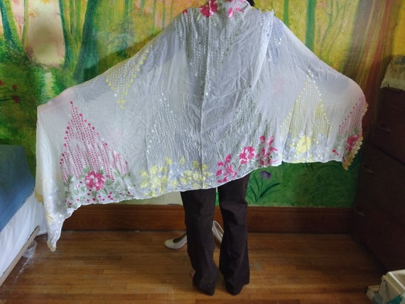 Embroidered Shawl - image 4