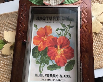 Nasturtium Seed Packet Nicho