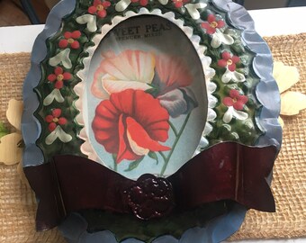 Paquete de semillas de guisante de olor Ovalado Nicho de pie