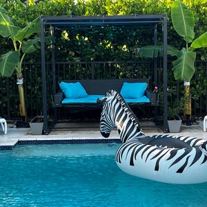 Impossibly Perfect 5-6&#39; Premium Organic Hawaiian Blue Java Vanilla Ice Cream Banana Plants. Made in Naples, Florida USA!