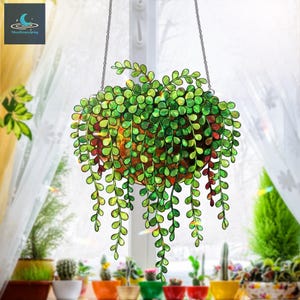 Puede incluir: Una planta colgante de vidriera con hojas verdes y una maceta marrón. La planta está suspendida por una cadena frente a una ventana con una variedad de plantas en macetas en el alféizar. Incluye el texto "WhereDreamsSpring".