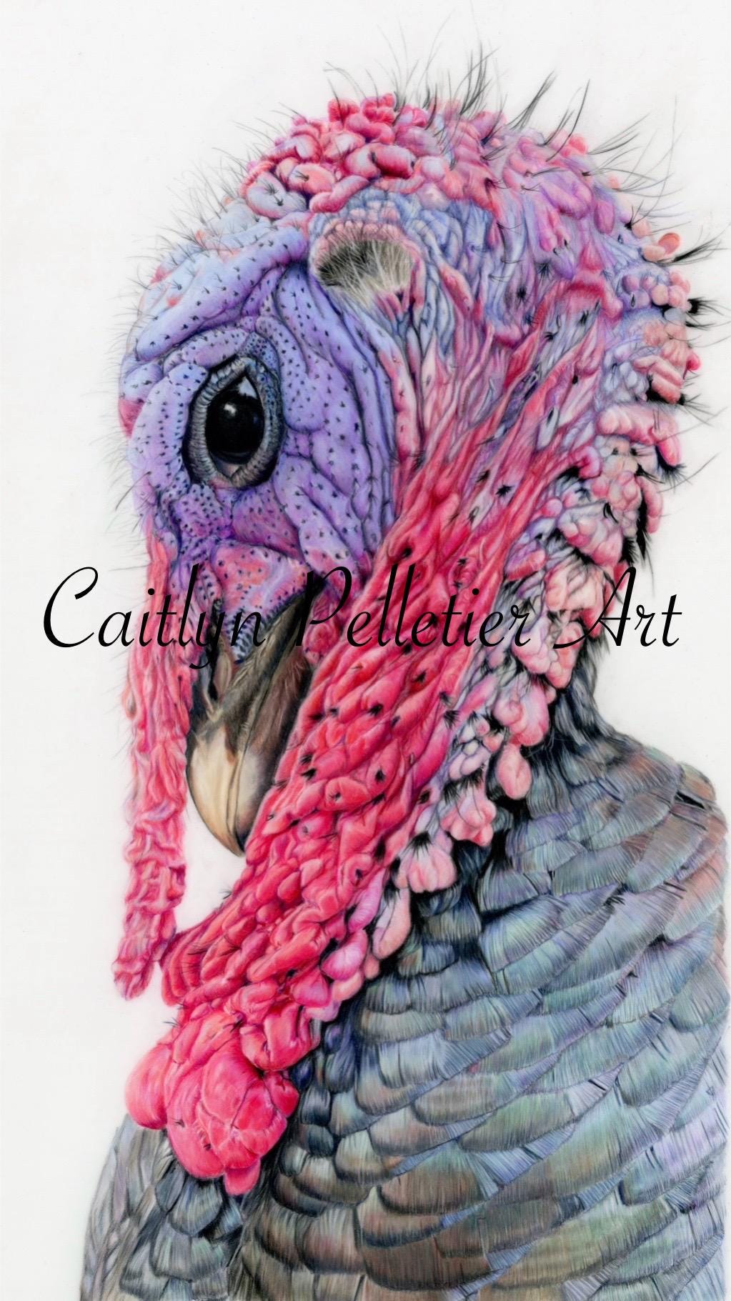 PRICE DROP! Travis the Turkey Original Artwork