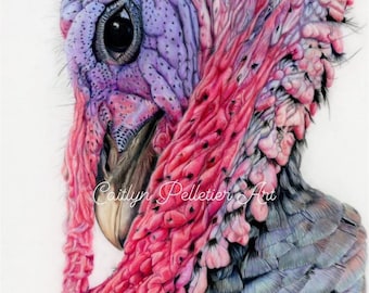 Travis the Turkey Giclee Prints 5x7”