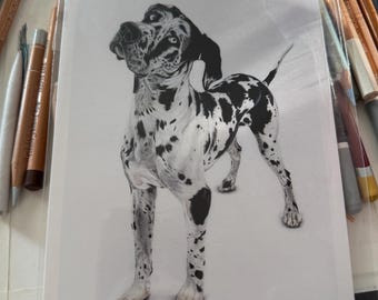 PRE-ORDER!!  DDS *Fundraiser* ROCCO the Great Dane-prints! 5 x 7"