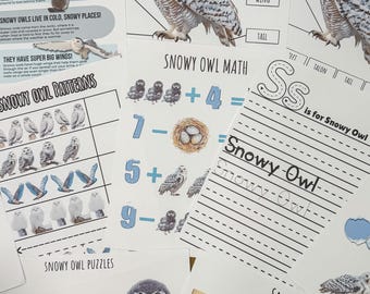 May include: A set of printable educational worksheets featuring a snowy owl. The worksheets include facts about snowy owls, their anatomy, math problems, and a letter tracing activity. The worksheets are designed for children to learn about snowy owls.