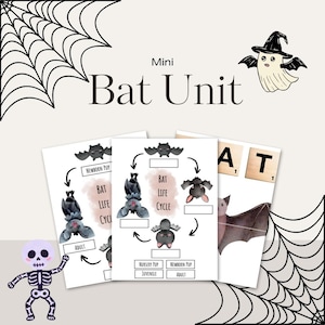 Puede incluir: Un conjunto educativo con temática de Halloween titulado "Mini Bat Unit" con ilustraciones de ciclos de vida de murciélagos, un fantasma con sombrero de bruja, un esqueleto y la palabra "BAT" en fichas de Scrabble. El fondo incluye telarañas.