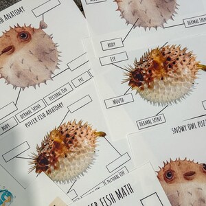 May include: A printable worksheet for kids to learn about pufferfish anatomy. The worksheet features a diagram of a pufferfish with labels for the body parts, including the eye, mouth, dermal spine, and pectoral fin. The worksheet also includes a math problem for kids to solve.