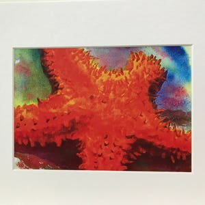 BRITTLE STAR