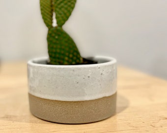 White Small Ceramic Planter,  Ready to Ship