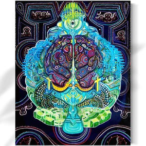 Healing Brain - Satin Gloss Art Print - Limited Edition - Dreamscape, Shipobo Wall Decor - One Hope Artistry