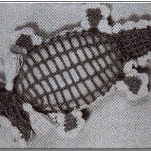 Könnte beinhalten: Nahaufnahme eines braunen und schwarzen Alligatorskin-Musters. Das Muster besteht aus kleinen Quadraten und Rechtecken.