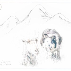 Border Collie Dreams