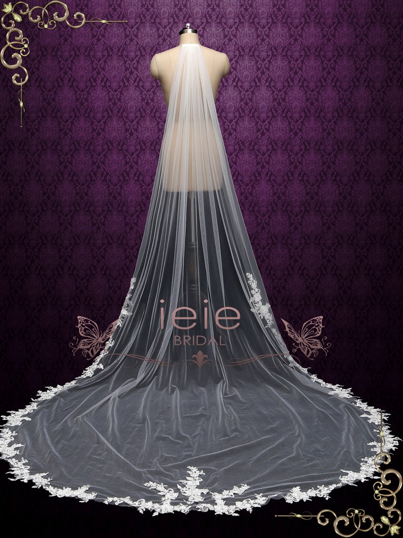 cathedral veil with long train