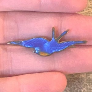アンティークエナメルツバメブローチ / ビクトリア朝の愛の証