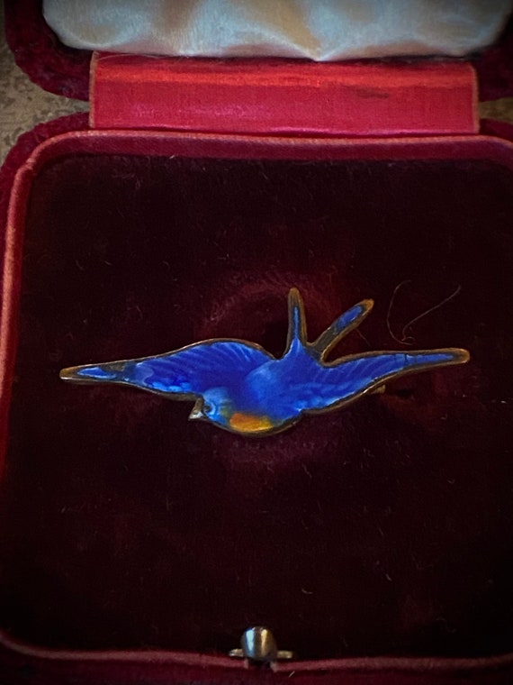 Bluebird Brooch – Woods Jewellers