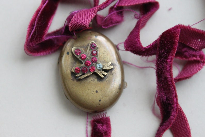 Rare Victorian Jeweled Butterfly Locket with Glass Door Inside Antique Garnet Paste Reliquary Locket