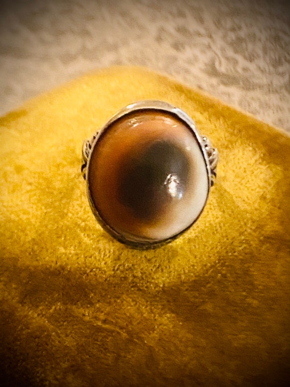 Victorian Sterling Operculum Shell Ring / Organic… - image 3