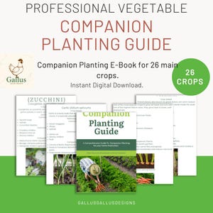 May include: A green and white digital download guide for companion planting with the title "Professional Vegetable Companion Planting Guide" and the text "Companion Planting E-Book for 26 main crops. Instant Digital Download."  The guide features a green and white illustration of a gardener planting carrots.