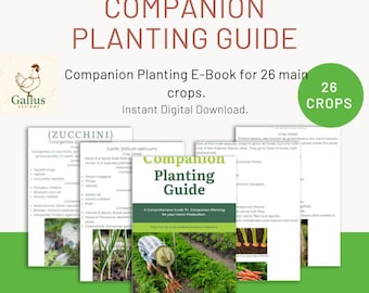 Companion Planting Guide E-book, Garden Planner (Digital Download)