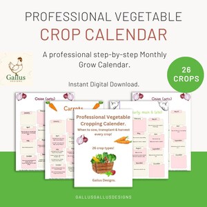 May include: A printable digital download of a professional vegetable cropping calendar with 26 crop types. The calendar includes a monthly breakdown of when to sow, transplant, and harvest each crop. The calendar is designed with a watercolor style and features a green background with a white border.
