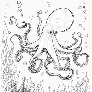 Ocean life colouring book for adults or children.