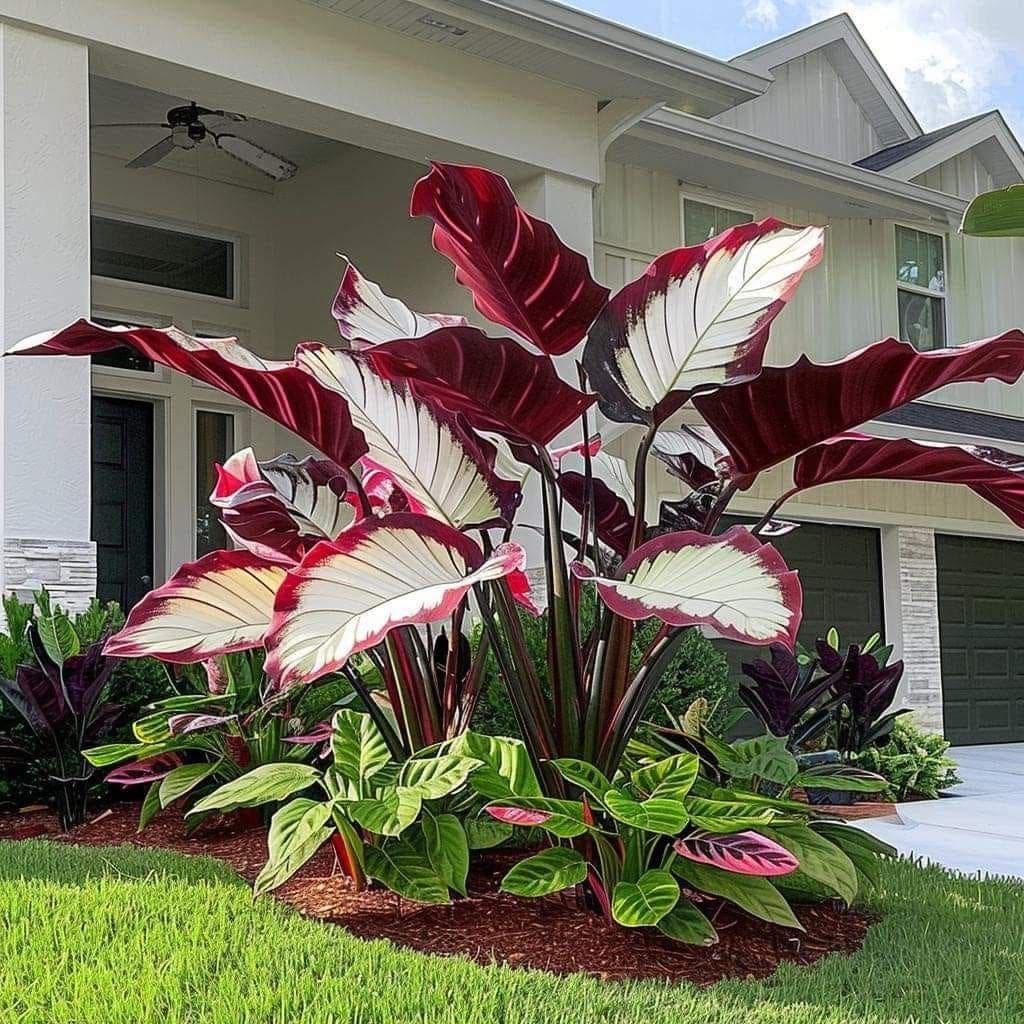 faux pothos Artificial Pothos Plant