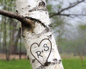 personalized art print, carved heart in tree, tree initials, birch tree, anniversary gift, engagement gift, bridal shower, rustic wedding