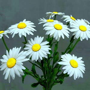 Set of 11 cold porcelain daisies
