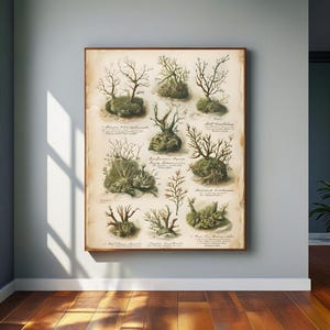 impression botanique vintage mousse, carte murale nature antique, affiche de plante scientifique, style herbier de l'ancien monde, décoration murale terreuse