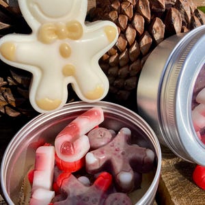 Wax Melt, Galletas de Cera para quemador, Cera con forma y esencia a Gofres, Arándanos, Chocolate, Lotus, Cera Navidad, Muñecos de jengibre