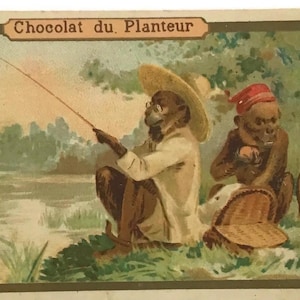 Antike französische Werbekarte – Chocolat du Planteur – Lustige Fischerszene – 1900s Ephemera