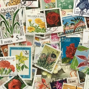 Sellos vintage botánicos y florales: colección de sellos inspirados en la naturaleza para diarios basura, álbumes de recortes y collages. Elige entre 25 o 50.