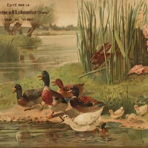 Antica carta commerciale francese – Scena di anatre e conigli – Chocolaterie d'Aiguebelle