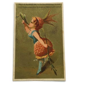 Antieke Franse Trade Card – Kind in ananaskostuum eind 19e eeuw
