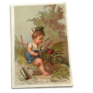 Antica carta commerciale francese – “Le Naturaliste” con bambino e coccinella, ca. 1890
