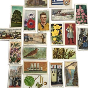 Carte di sigarette Wills – Set di 20 soggetti illustrati vintage degli anni '30 – Fiori, uccelli, bandiere e altro