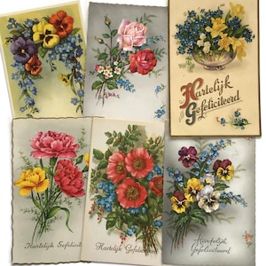 Set di 6 cartoline floreali olandesi vintage – Hartelijk Gefeliciteerd – Biglietti di compleanno dagli anni '50 agli anni '60