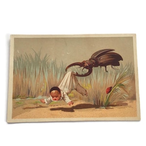 Carte commerciale victorienne antique – Insecte géant emportant un enfant | Éphémères fantaisistes d'entomologie