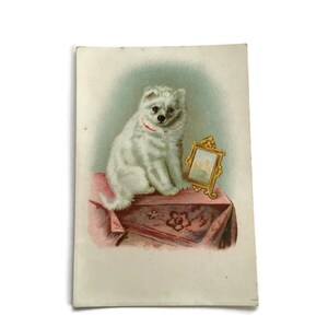 Antica carta commerciale con cucciolo bianco – Cromolitografia del XIX secolo con cane e cornice dorata – Effimera di animali vittoriani