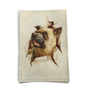 Cartão de troca de Bulldog antigo – Cromolitografia do século XIX com efeito de papel rasgado – Objetos efêmeros de cachorro vitoriano