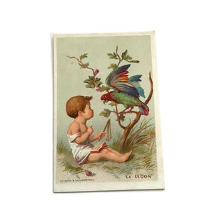 Vintage French Trade Card - "La Leçon" - Baby leert een papegaai - 19e-eeuwse kortstondige