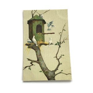 Postal antigua con casa para pájaros en relieve: palomas blancas y casa para pájaros verde, principios del siglo XX