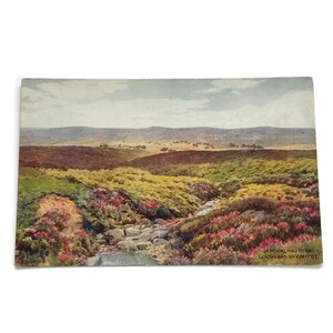Carte postale ancienne – A Moorland Beck, Goathland près de Whitby – Série saumon
